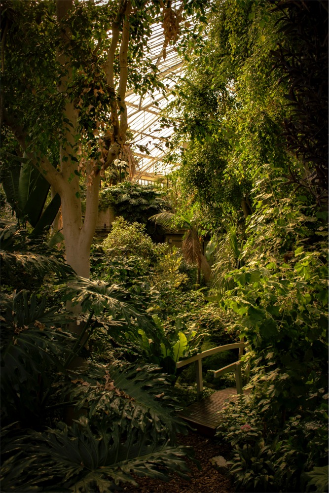 The Barbican Conservatory Silk Street, London, England, UK.