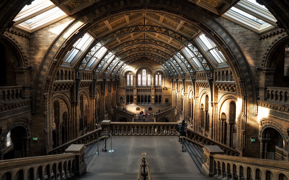 Natural History Museum London Hintze Hall - Photo 1